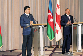Azerbaijani, Georgian presidents hold private, extended meetings